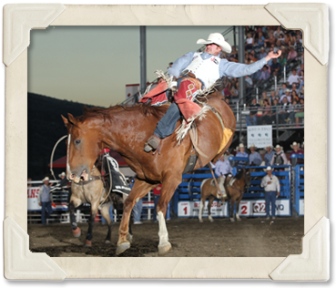 A contestant competing in the Bareback Riding event  (©Watson Rodeo Photos, Inc.)