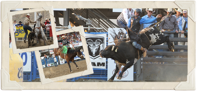 Cody Nite Rodeo History and About