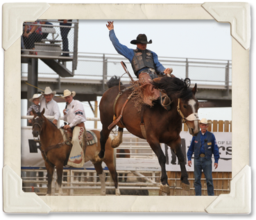 A rider in the Saddle Bronc Riding event.    (©Watson Rodeo Photos, Inc.)