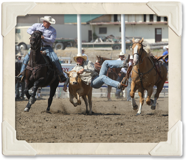 A steer wrestler dismounts at the steer during the Steer Wrestling event.   (©Watson Rodeo Photos, Inc.)