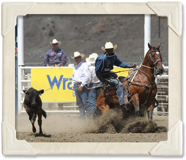 A contestant waits for the slack to run out in the Tie Down event  (©Watson Rodeo Photos, Inc.)