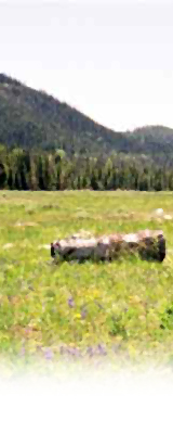 vacant land wyoming