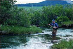 Fly Fishing Ranchester Wyoming Trout fishing fly fishing wyoming 