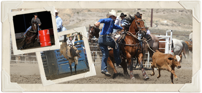 Cody Nite Rodeo History and About