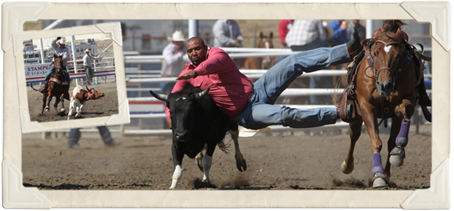 Cody Nite Rodeo History and About